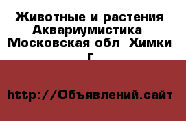 Животные и растения Аквариумистика. Московская обл.,Химки г.